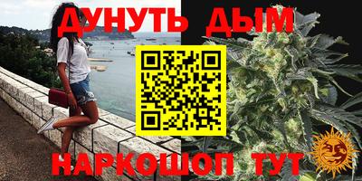 шишки Обь
