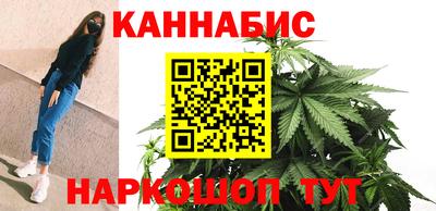 шишки Обь