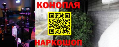 шишки Обь