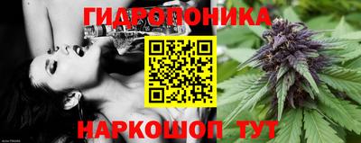 шишки Обь