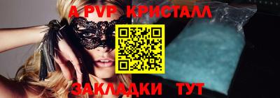 шишки Обь
