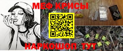 шишки Обь